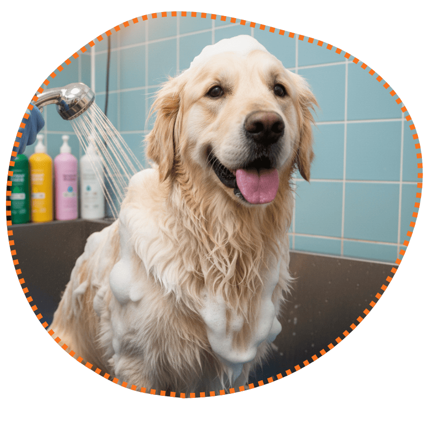 Amor e Cuidado que seu Pet Sente de Perto